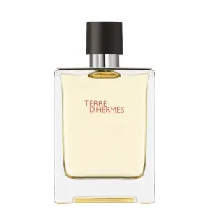 HERMES - TERRE D'HERMES EDT 100ML